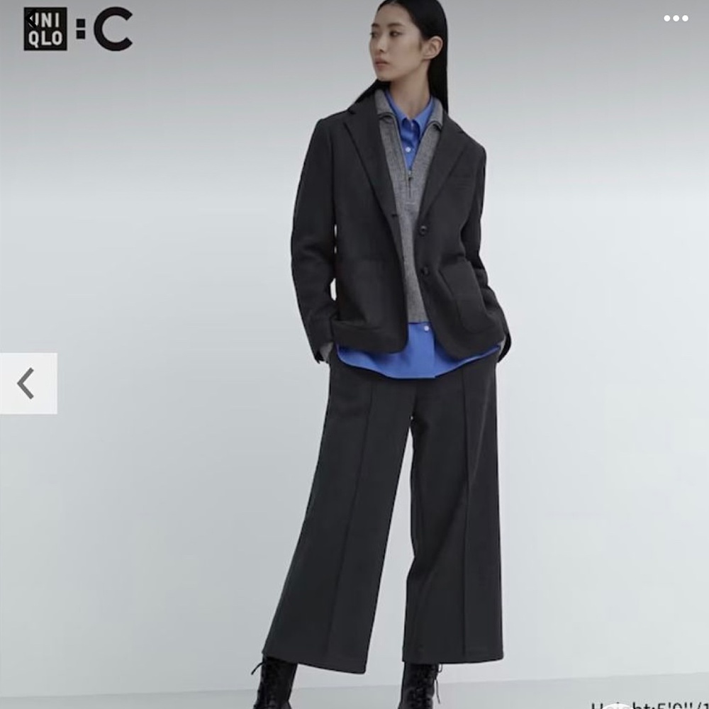 Uniqlo C Pants